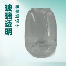 高硼硅玻璃生态瓶植物微观桌面盆栽办公玻璃微景观生态瓶苔藓植物