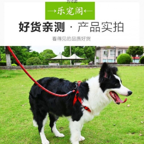 Dog Leash 2m 3m Dog Harness Back Harness Golden Retriever TEDDY Small Medium Large Dog Walking Rope Pet Collar