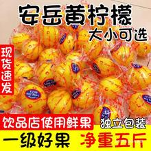 四川安岳黄柠檬一级果皮薄多汁当季水果香柠檬大中小整箱包邮