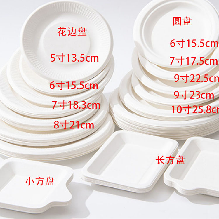 disposable-sugarcane-pulp-paper-plate-eco-friendly-degradable-picnic-barbecue-pizza-diy-art-painting-plate
