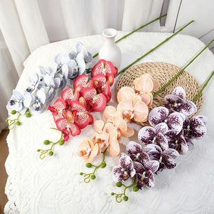 �p���L�����m���滨��Y���������m�bٻ����滨��ˇ�[�������m