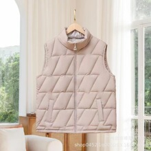 2025春秋新款妈妈保暖百搭棉服女轻便大码马甲坎肩外套厂家批发