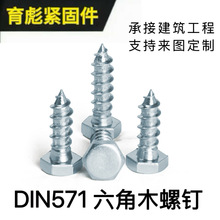 DIN571�������Թ��ݽz������ľ�ݽz��\����ľ��˨