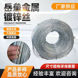 定制建筑镀锌丝细软退火丝铁丝工艺品用铁丝鼻梁丝镀锌铁丝厂加工