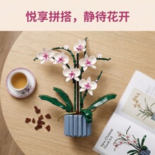 �����ָ߻���ֲ���ľ��������10311���滨�ٻ���ľƴװ�������