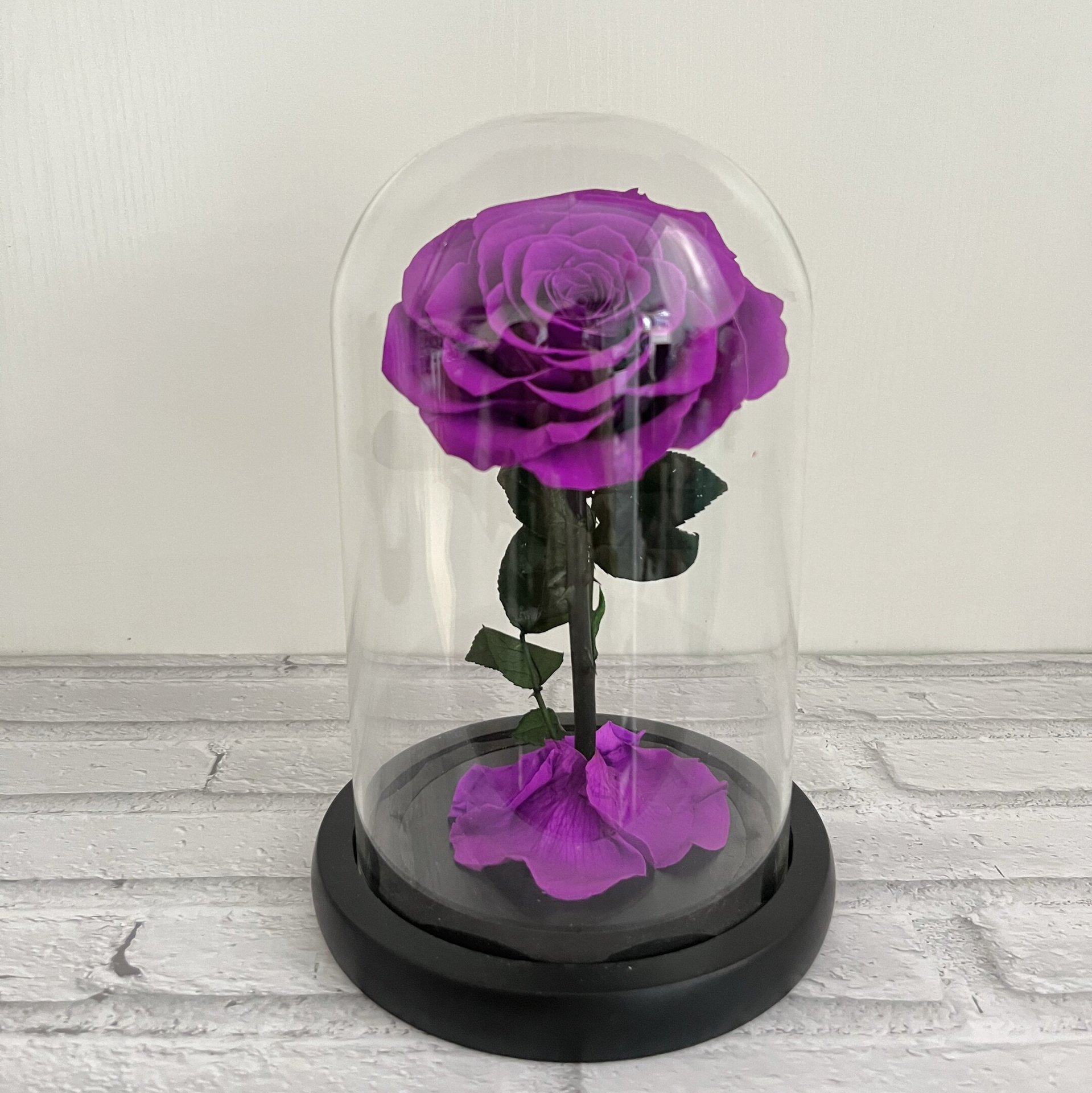 조명과 선물 상자가 없는 클래식 보라색과 검정색 배경