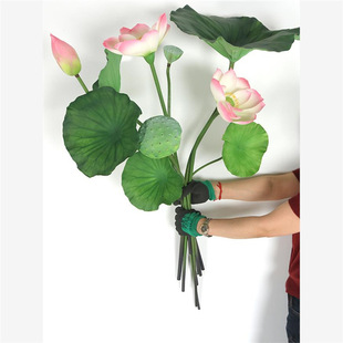 ���컨�ɻ��ɻ��zӰ���컨����ֲ��Pu���~��̨�G��������������