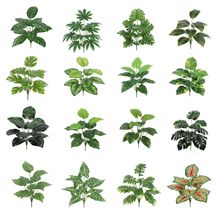 ����Gֲʮ���^�G�~���������~�Ҿ�չ�dֲ��bzӰ���վGֲ