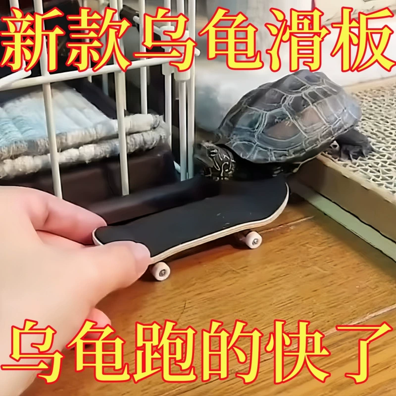 Скейтборд, игрушка для пальцев, питомец, антистресс, DIY
