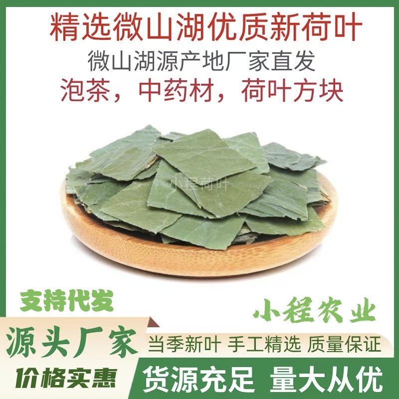 微山湖小方块荷叶茶泡水入药熬粥中药材干荷叶纯天然新鲜干荷叶