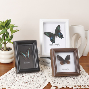 �羳���N�ֹ��Wʽ��ɫ�п�2cm���w���DIY�ɻ������˱����b���