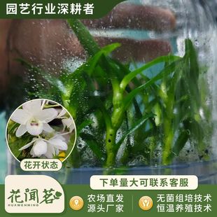 ��ʯ�� 3045 ������ƿ���׳ɻ�M��С�� �҃������Ի�������r��