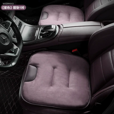 Car roof lining Xiaomi, and Bmw Car - other-purple-1-pair-of-seat-cushions
