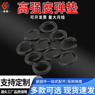 8.8|ߏȏɉ|Ȧ̼䓏ȦӺُ|Ȧɏԉ|Ƭ