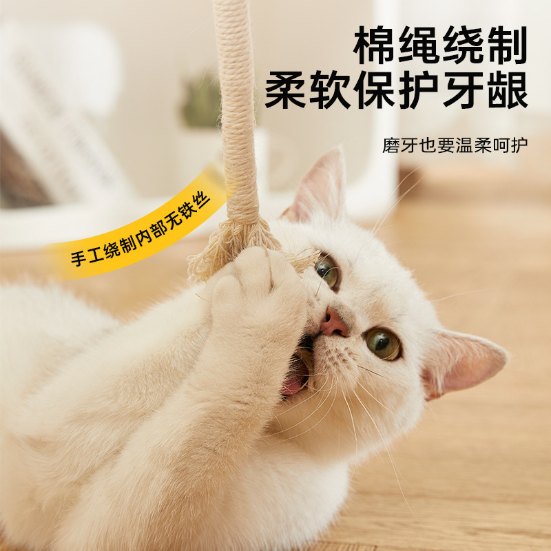 (2개) 고양이와 개 물린 로프 MOLAR TEETH BITE 저항하는 물리적 강도 곤충 GALL 과일 재미있는 고양이 스틱 장난감 셀프 헤이 해독 아티팩트 용품