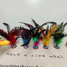 ��ӏS�ҳ��˵������С�W����ͯ���l�uë����