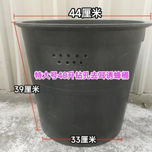 桶盖子升养蜂老式配带桶垃圾桶摔不烂塑料牛筋盖子水桶黑色诱蜂40