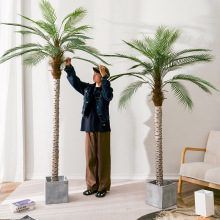 ���͸߷���ֲ��̿�ᘿ�ɢβ�������Gֲ�����҃ȿ͏d�쾰�b٘�