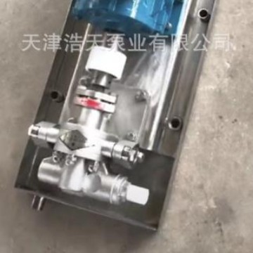API齿轮泵 石油 柴油 汽油 机油 液压油 沥青 稠油 胶水齿轮泵