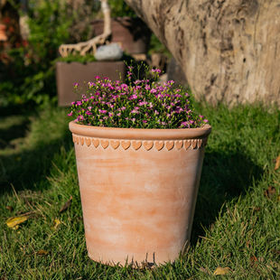 �t�ջ��豱�Wins�L���s���ļt������߅��������͸��Gֲ����