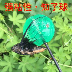 ճ֪���z�ļ�ճ���s���ߑ�����߽≺�A��ճճ��ץ֪������С�G��
