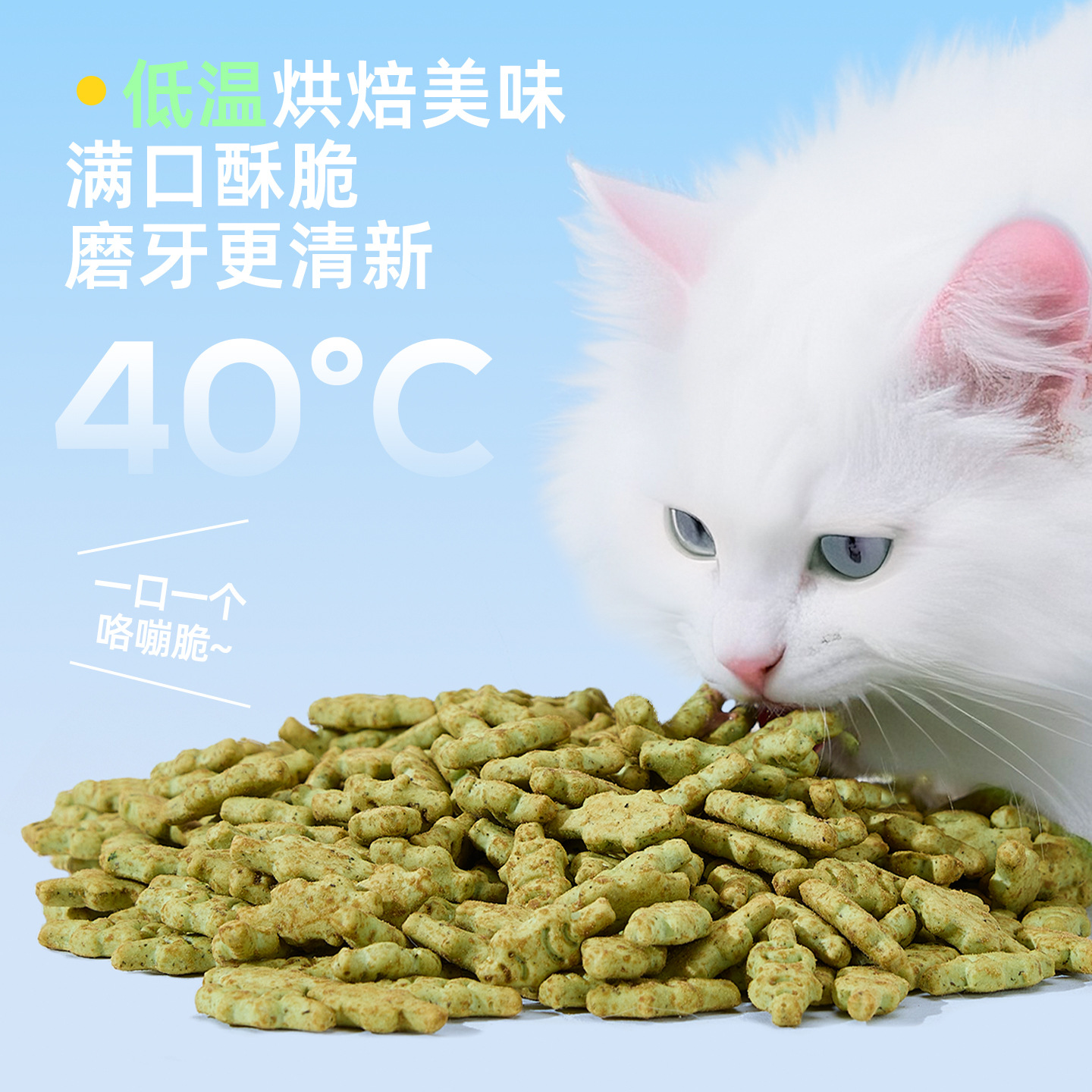 Nueva lata de menta gatera, pollo liofilizado, galletas de pescado, salmón, atún enlatado, bocadillos para mascotas al por mayor