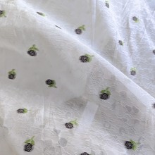 WС黨ٽzBȹŮbͯbỨ