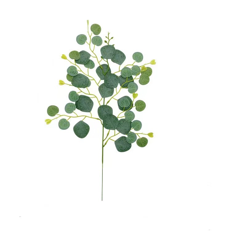 단일 사랑 잎 가지