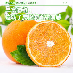 �M��Ě��10��������rˮ���Fժ�������ք�������ȑ���������t��