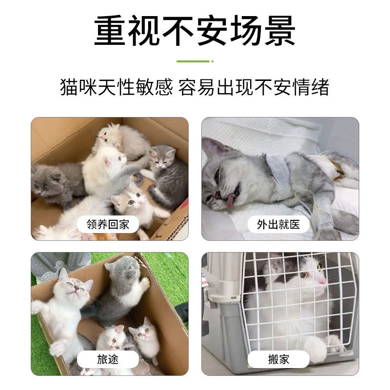 キャットミントスプレー 猫のおもちゃ誘発剤 猫ハッピーウォーター 猫スプレー キャットミントスプレー|undefined