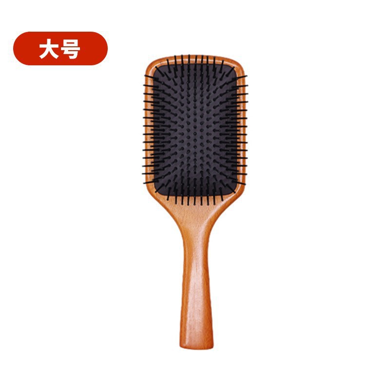 너도밤나무 대형