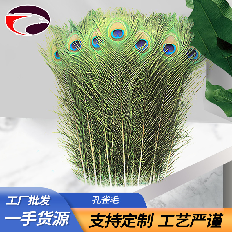 Peacock Feather 25-30cm Feather Decoration Home Flower Arrangement…