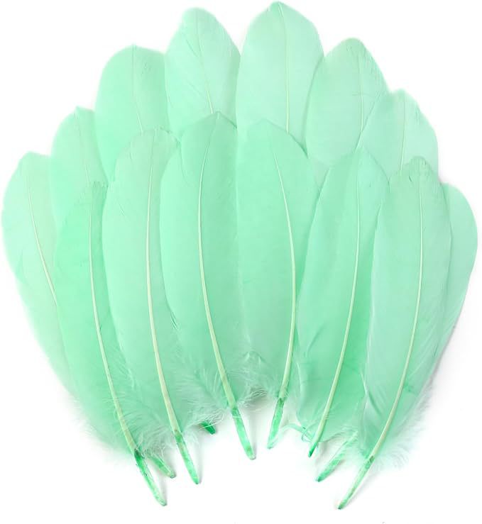 Fabricantes lotes plumas de ganso blanco natural plumas DIY artesanías accesorios de ropa de boda accesorios de decoración artesanal image 21