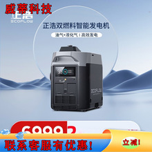 ECOFLOW���Ƒ����Դ ���������Դ ����Һ���� �pȼ�����ܰl늙C