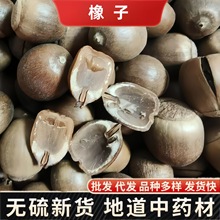 Herbals新货橡子果 工艺品原料拍摄道具橡树子老橡果橡子粉原料冷
