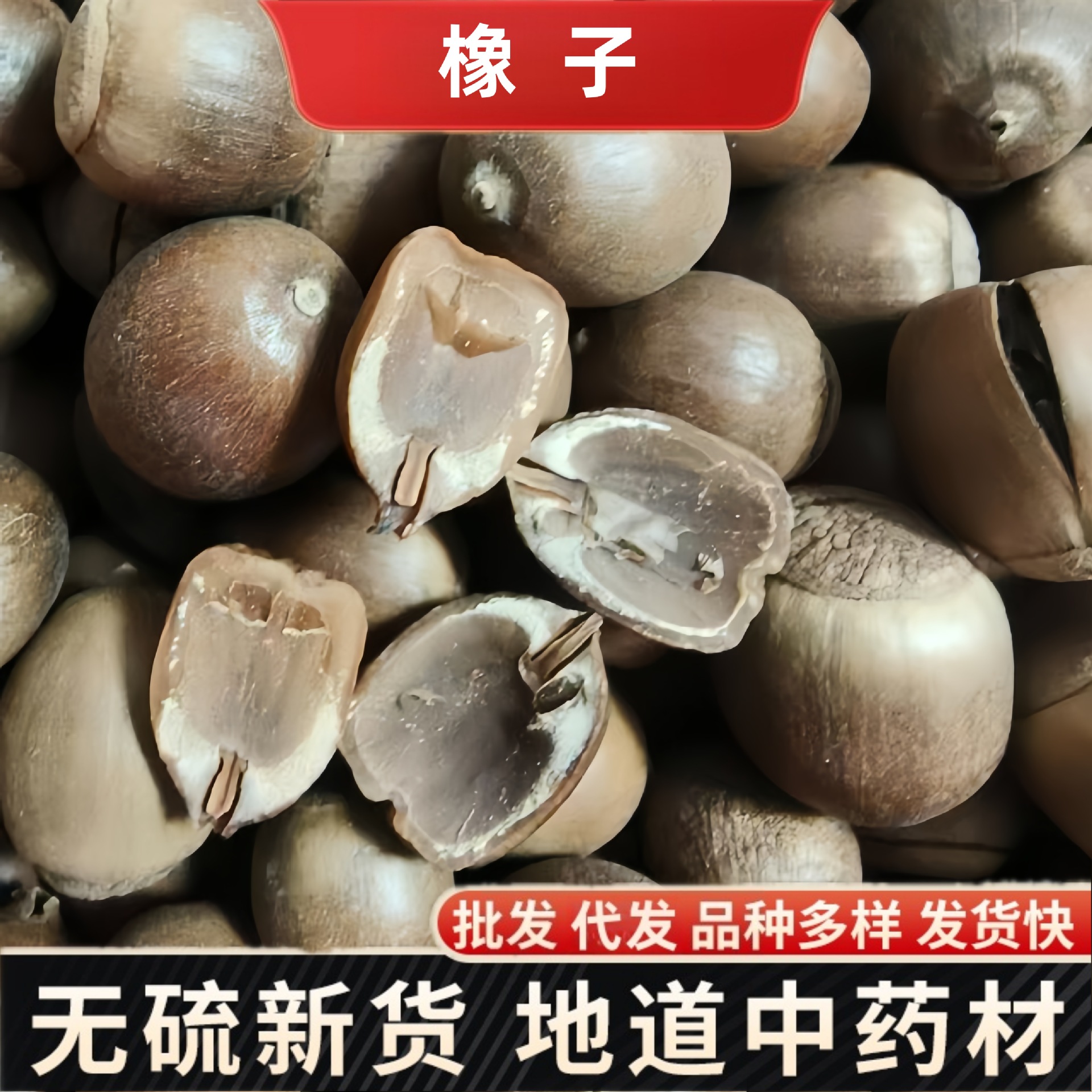 Herbals新货橡子果 工艺品原料拍摄道具橡树子老橡果橡子粉原料冷