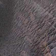 wݚWỨݼϰ͸BȹbY