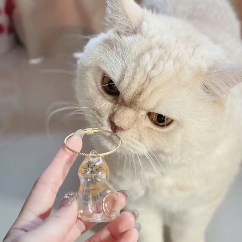 人気のキーホルダーペンダント、見栄えの良い猫の透明シェルファーボールペンダント、ペットの毛収納クリエイティブキーホルダー|undefined
