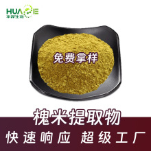 槐米芦丁95%  NF11出口标准10:1多规格槐米提取物可定制全水溶芦