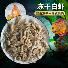 �S�ҬF؛���l�������������Z ���r���{��������� ����ʳ���ɰ��r