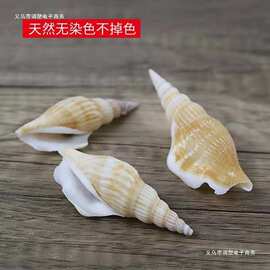 天然贝壳海螺海星材料包手工拍摄背景风铃漂流瓶鱼缸装饰套装其他