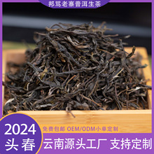 云南普洱茶源头普洱生茶2024年头春邦骂老寨古树生普茶叶茶批发