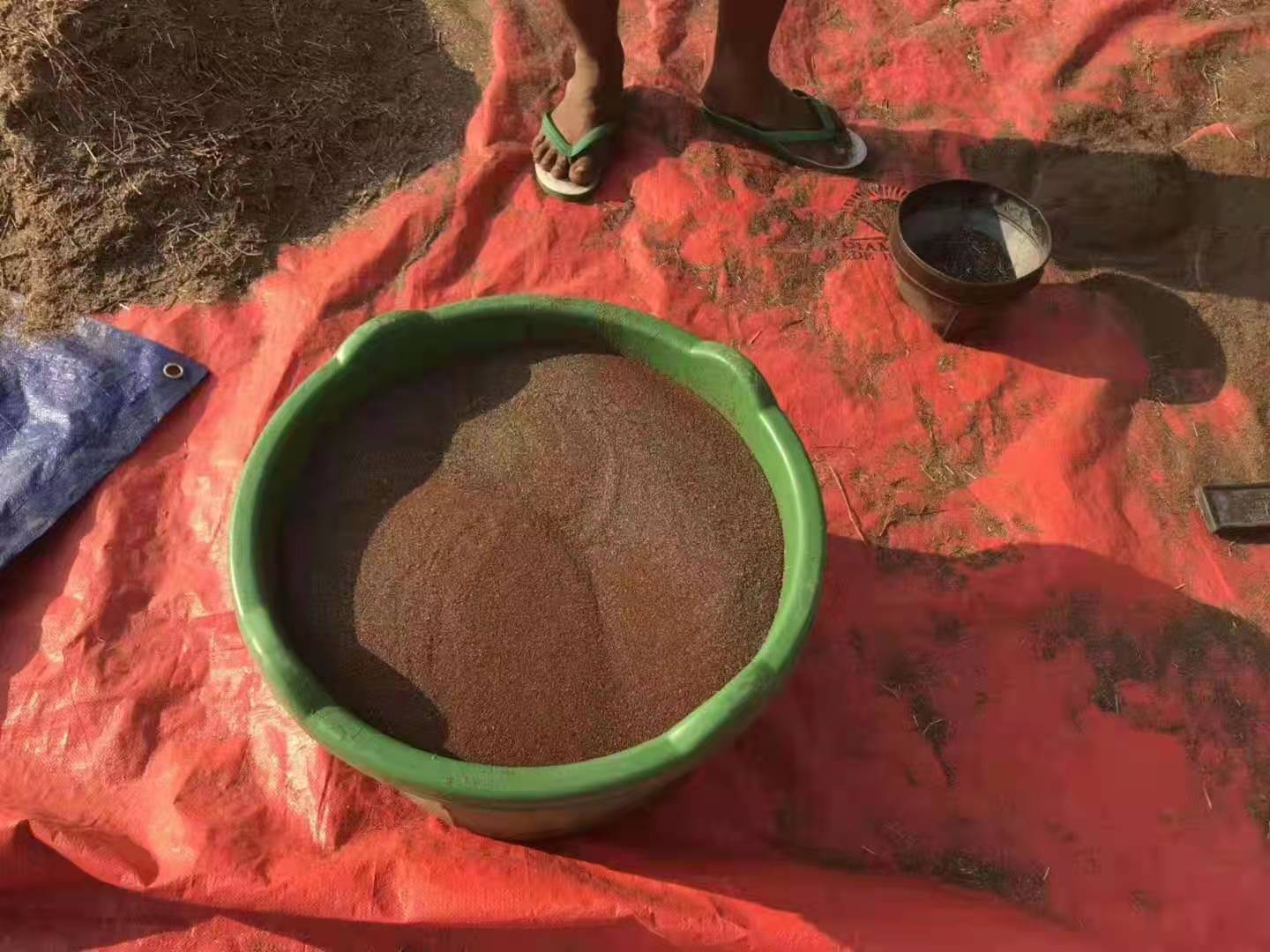 微信图片_20220312091734