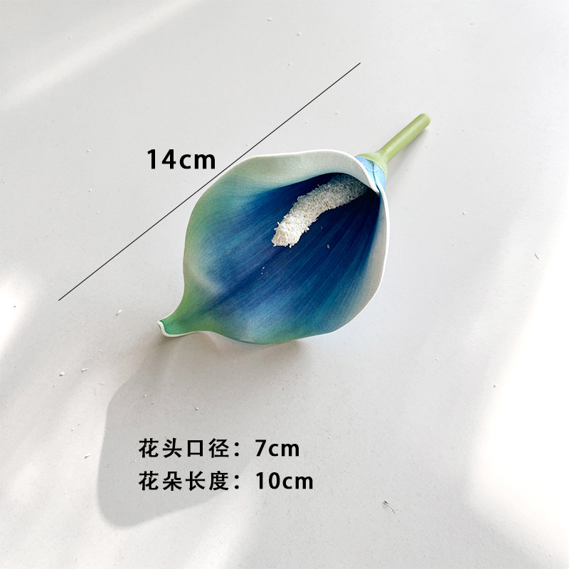 블루 미니
