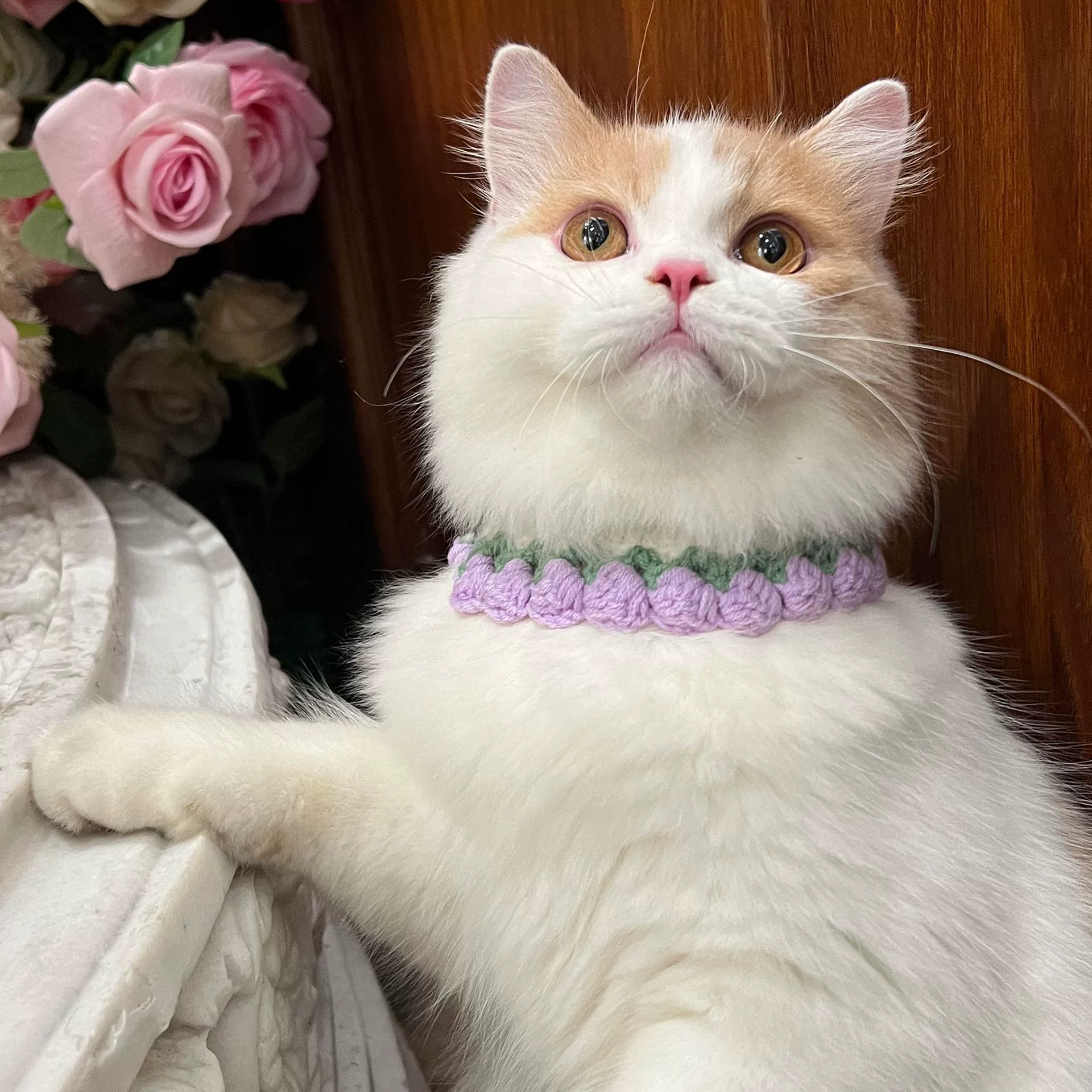 Ошейник для домашних животных котенок ожерелье трикотажный шейный круг ручной вязки собачий орнамент кошачий нагрудник регулируемый