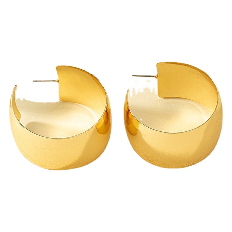 Pendientes de aro geométricos minimalistas estilo Instagram frío para mujer, diseño de nicho, mismo estilo que influencers, mayorista image 1