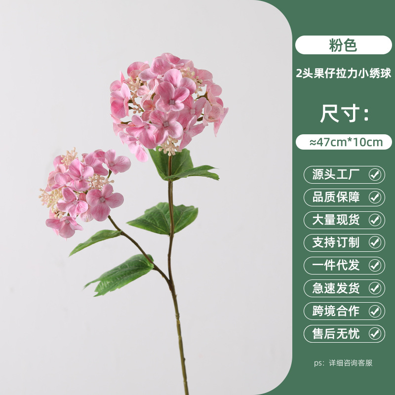 핑크 2-머리 과일 풀 작은 수국