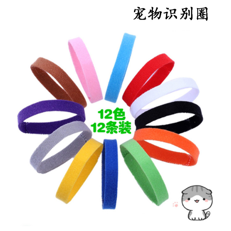 新生宠物身份识别脖圈魔术贴扎带薄自粘宠物项圈 猫狗识别项圈