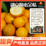正宗脆蜜金柑第三代广西融安脆蜜金桔鲜果皮薄蜜甜应季水果顺丰包