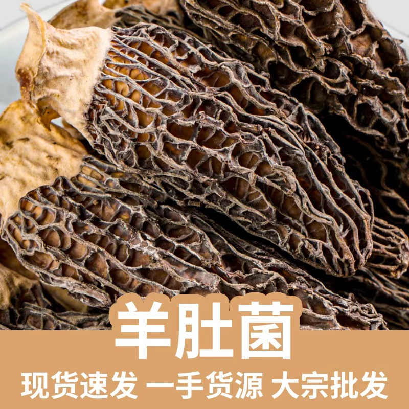Dried Morel Mushrooms Yang Du Jun 500g Wild Foraged Culinary Soup and Stir Fry Ingredient key features